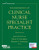Foundations of Clinical Nurse Specialist Practice