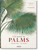 Martius. the Book of Palms