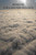 Beneath the Long White Cloud (The Kiwi Kingdom)