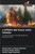L'effetto del fuoco sulla foresta