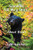 Grandma, Tell Me a Story...About Bears