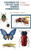 Revision of the Far East Asian Aphidiidae (Hymenoptera)