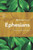 Journey Through Ephesians: 40 Biblical Insights By Robert M. Solomon
