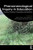 Phenomenological Inquiry in Education - Paperback