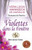 Violettes dans la FenÃªtre