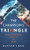 The Champion's Triangle: Revolutionizing Practice in Sport - Hardcover The Champion's Triangle: Revolutionizing Practice in Sport - Hardcover
