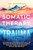 Somatic Therapy for Trauma: Quick Exercises to Release Emotional Pain, and Regulate the Nervous System for a Powerful Mind-Body Connection, Height