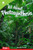All about Photosynthesis
