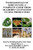 Fundamentals of Sericulture: A Complete Guide from Mulberry Cultivation to Silk Production