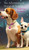 The Adventures of Django & Noodle: Noodle Goes To Neptune: Noodle Goes To Neptune
