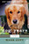 Dog Years: A Memoir