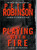 Playing with Fire: A Novel of Suspense Large Print