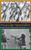 Muscular Nationalism: Gender, Violence, and Empire in India and Ireland, 1914-2004