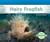 Hairy Frogfish (Spooky Animals) Hairy Frogfish (Spooky Animals)