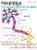 Neurology: The Amazing Central Nervous System