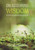 On Acquiring Wisdom: A Reincarnational Perspective