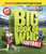 Big Book of Who Football