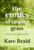 The Erotics of Cutting Grass: Essays on a Well-Loved Life