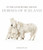 In the Land of Fire and Ice: Horses of Iceland
