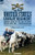The 6th United States Cavalry Regiment: Campaigns during The Civil War, The Native American Indian Wars & Spanish-American War