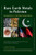 Rare Earth Metals in Pakistan: Geopolitics in the New Great Game
