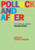 Pollock and After: The Critical Debate