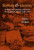 Slavery and Identity: Ethnicity, Gender, and Race in Salvador, Brazil, 1808-1888