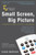 Mediabistro.com Presents Small Screen, Big Picture: A Writer's Guide to the TV Business