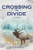 Crossing the Divide: A Novel