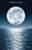 Out of the Dark - 9781649219152