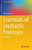 Essentials of Stochastic Processes (Springer Texts in Statistics)