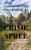 Crime Spree, A Buck Taylor Novel