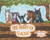 The Giddy-Up Gang