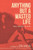 Anything But a Wasted Life