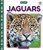 Jaguars