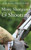 More Shotguns and Shooting