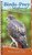 Birds of Prey of the Midwest: Your Way to Easily Identify Raptors