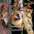 Niños en la Tierra Aventuras de vida Silvestre - Explora el Mundo Mouse Lemur - Madagascar