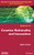 Creative Rationality and Innovation