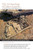 Archaeology of Chaco Canyon: An Eleventh-Century Pueblo Regional Center