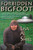 Forbidden Bigfoot: Exposing the Controversial Truth about Sasquatch, Stick Signs, UFOs, Human Origins, and the Strange Phenomena in Our Own Backyards