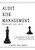 AUDIT RISK MANAGEMENT (Driving Audit Value, Vol. II) - The best practice strategy guide for minimising the audit risks and achieving the Internal Audi