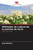 MÃ©thodes de culture de la pomme de terre