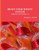 BRAIN ENRICHMENT SYSTEM Collection One Books 1-4