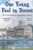 One Young Fool in Dorset - LARGE PRINT : Old Fools Prequel