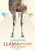 Llama Drama : A Two-woman, 5,500-mile Cycling Adventure Through South America