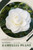 Camellia Plant: Plant Guide
