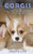 Corgis : A Dog Training Guide about Pembroke Welsh Corgi and Cardigan Welsh Corgi for Beginners