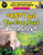 Cody And The Frog Pond Adventures (Cody & Bob in the Little Tail Adventures)