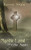 Mystic Land and Celtic Saints